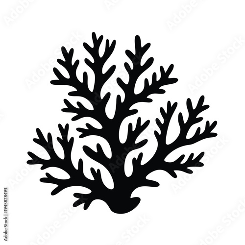 Black silhouette of branching coral a marine invertebrate organism