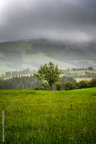 Wallpaper Mural Sao Miguel Island Landscape Torontodigital.ca