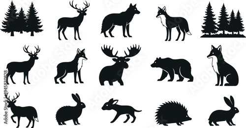 Silhouette of various animals and trees in a forest setting with silhouette