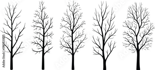 Black deciduous tree silhouette vector set with various bare branch patterns for landscape architecture and forest