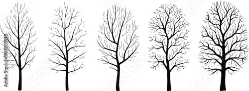 Black deciduous tree silhouette vector set with various bare branch patterns for landscape architecture and forest