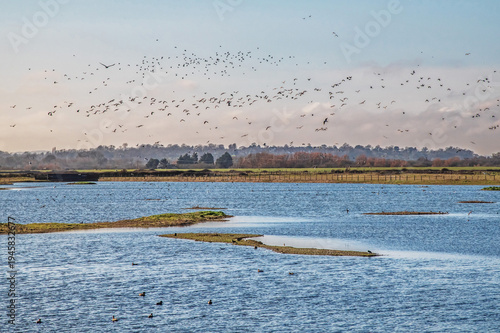 Rye Harbour Nature Reserve