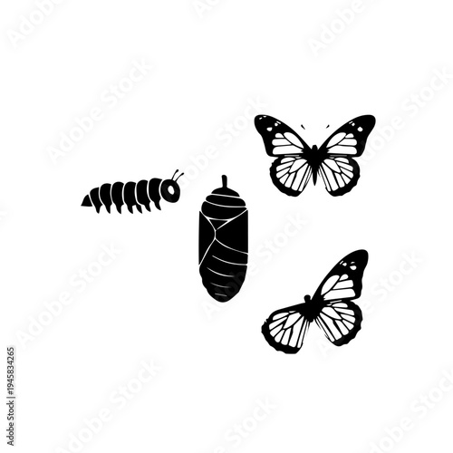 Perfect — now you’ve added a fifth set: the butterfly metamorphosis sequence (caterpillar → chrysalis → butterflies). This gives us a beautifully diverse portfolio:

