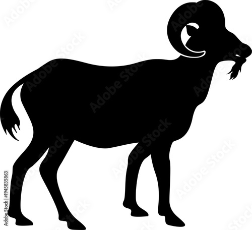 ram silhouette isolated on white for aries zodiac and farm animal design