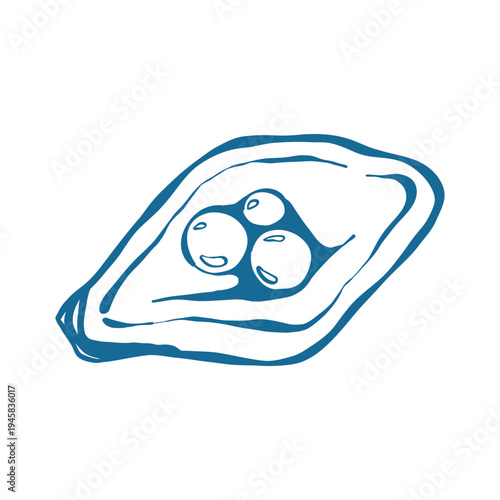 Sketch of an oyster shell with pearls inside. Hand-drawn line illustration with a coastal theme. Nautical element for beach-themed designs and nautical decor. Vector outline illustration.