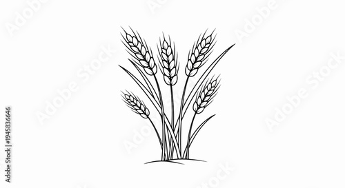 Black and white line drawing of a cluster of wheat stalks in a field