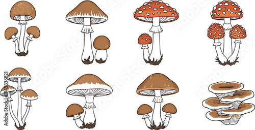 Set of various mushroom species including fly agaric and forest fungi in colorful cartoon style for nature and autumn design.