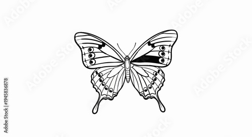 Black and white line art of a swallowtail butterfly with intricate wing patterns and eye spots