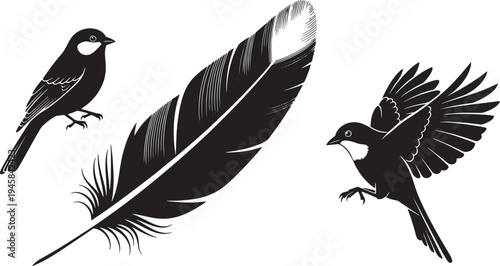 Monochrome vector illustration of two birds – one perched, one flying – alongside a delicate feather, capturing the essence of avian grace and freedom in nature