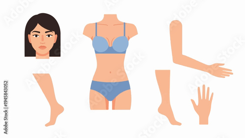 Anatomical parts of a woman displayed separately against white