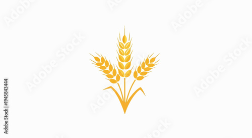 Golden wheat stalks with green leaves against a white background