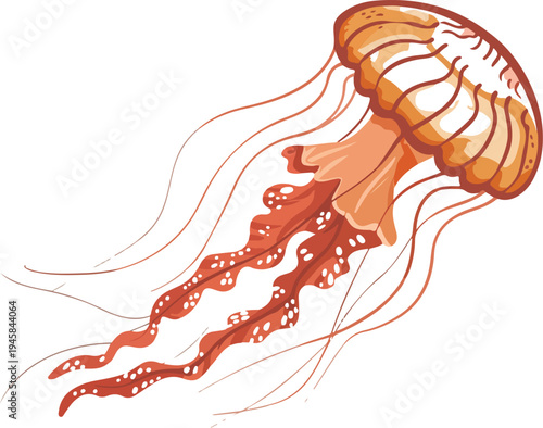 jellyfish vector illustration featuring a detailed bell and flowing tentacles for marine biology and aquarium branding,