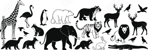 Mega collection of black and white wild animal silhouettes featuring giraffe elephant tiger lion deer and tropical birds isolated on white,
