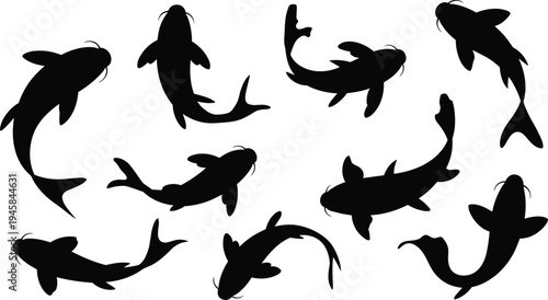 Koi fish carp silhouette collection set, Japanese pond animal icons, vector flat design elements, oriental water nature illustrations,
