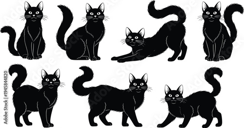 Mega collection of black cat silhouettes in various poses including sitting stretching and walking isolated on white background for design,