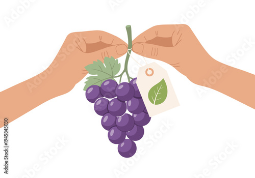 Hands present an organic grapes tag with a vibrant purple grape bunch. Clean, modern illustration showcasing sustainable produce. Perfect for food, agriculture, and eco-friendly branding.