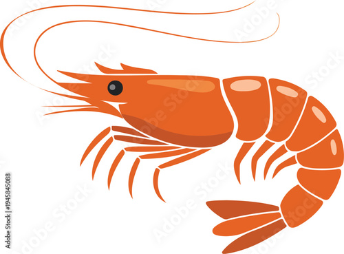 cooked shrimp vector illustration featuring an orange prawn with detailed shell and antennae for seafood restaurant branding,