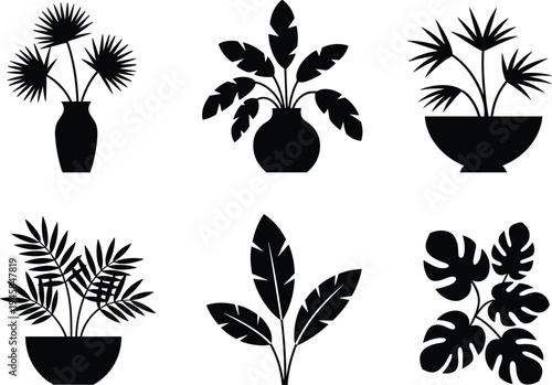 plant, silhouette, houseplant, vector, monstera, leaf, pottery, interior, decoration, botanical, tropical, garden, flora, black, isolated