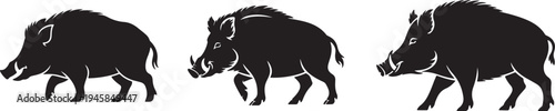 Set of Wild Boar Silhouette Vector Illustration black and white