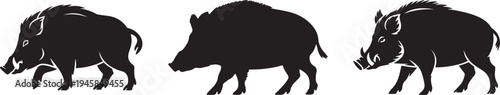 Set of Wild Boar Silhouette Vector Illustration black and white