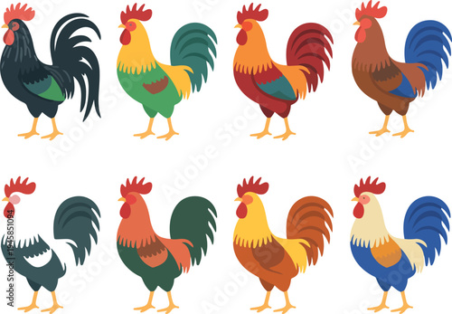 farm rooster and cockerel vector set featuring various colorful poultry breeds for organic agriculture and rustic design,