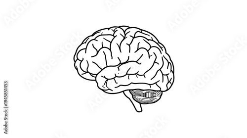 Black and white line art illustration showing a human brain with an electronic microchip integrated into its organic structure.