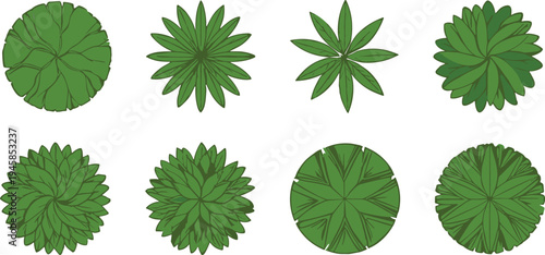 Collection of green tropical plant leaves top view vector set isolated botanical foliage icons nature design elements for garden jungle eco themes