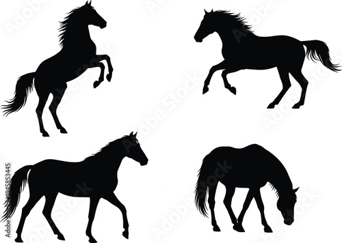 Horse silhouette collection, running and grazing horse vector set, black stallion icons isolated, equine animal illustration for design