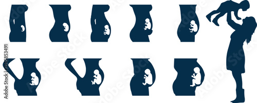 Steps of Pregnancy. Memoirs of a pregnancy. Overview pregnancy step by step