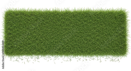 Lush Green Grass Background for Nature and Outdoor Themes