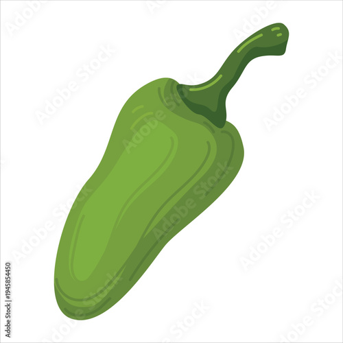 Green jalapeño hot pepper cartoon vector illustration spicy sweet bell capsicum vegetable whole ingredient isolated 