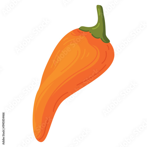 Orange yellow bell pepper cartoon vector illustration sweet capsicum vegetable whole ingredient isolated 