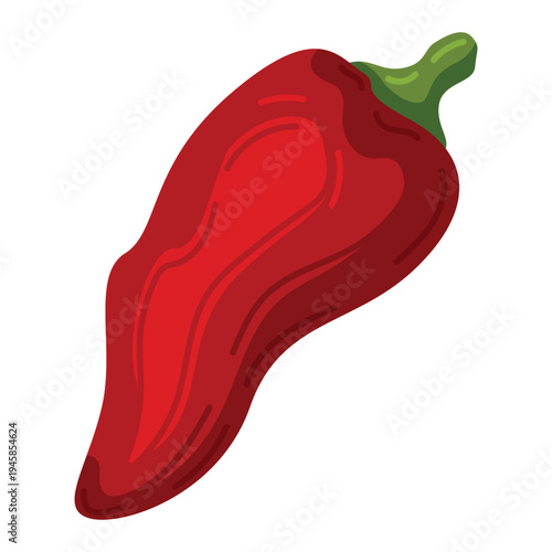 Red hot spicy chilli  bell pepper vector illustration sweet capsicum paprika vegetable whole ingredient isolated whole