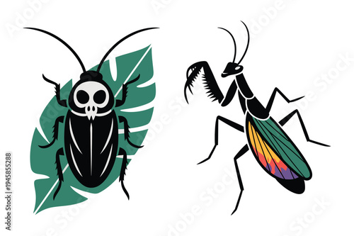 Scary insect graphics: beetle and praying mantis