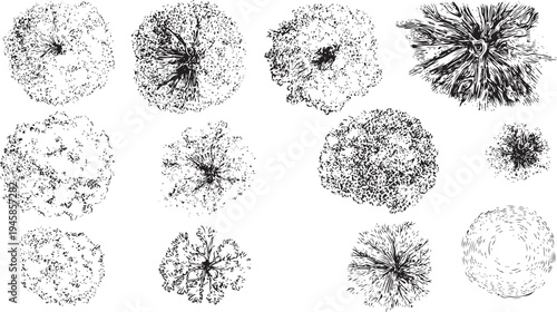 Collection of black and white view tree view nature