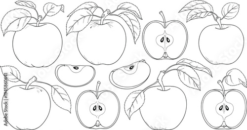 Minimalist apple line art icon set featuring whole fruit with leaves cross section halves and sliced wedges in a clean black and white hand drawn sketch style.