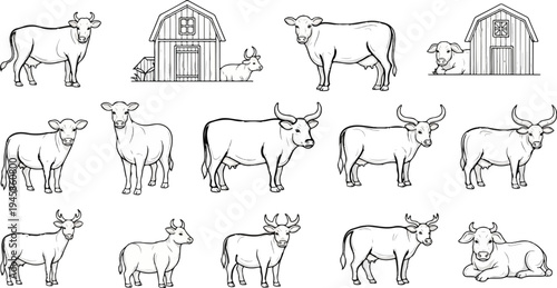 A collection of line art illustrations featuring various cattle poses and breeds