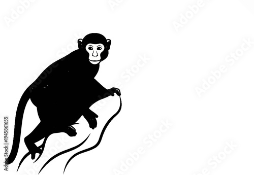 A black silhouette of a monkey with white facial features sits on a branch