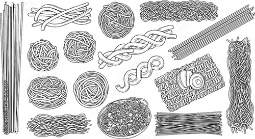A collection of various uncooked pasta shapes and types