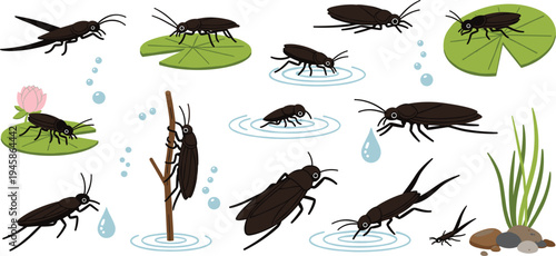 Vector Illustration Set of Water Insects and Bugs in Various Activities Including Swimming and Climbing on Lily Pads Isolated on White