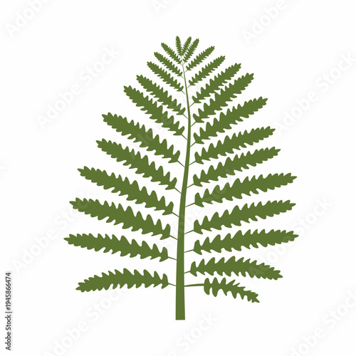 A green fern frond with symmetrically arranged serrated leaflets is designed in a simple flat style.