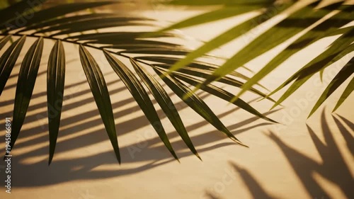 This video features Palm Sunday visual backdrop with elegant palm leaf overlays and bright minimalist scene, designed for Palm Sunday church media, social content and inspirational presentations.