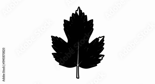 A black, stylized leaf with serrated edges and a central vein