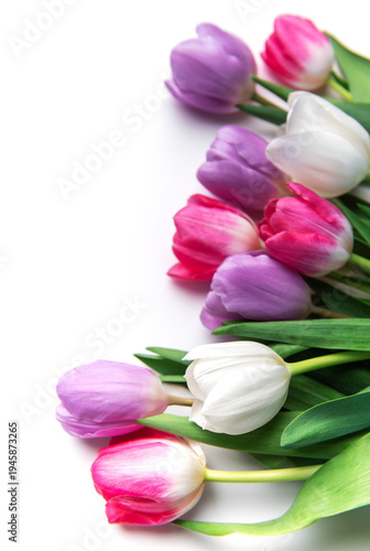 Colorful blooming tulips creating a vibrant spring border
