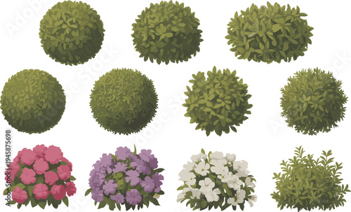 Various Green Bushes and Flower Clusters in Different Shapes and Colors plants shrubs flowers