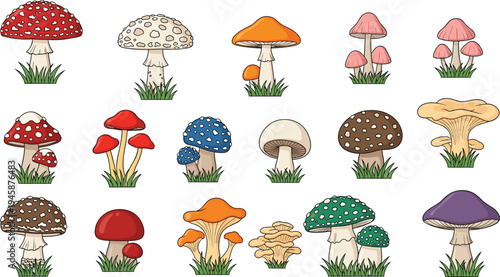 Colorful mushroom illustrations with diverse shapes, spotted caps, grassy base, botanical vector art, creative fungi design, decorative nature symbol, artistic collection