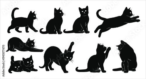 Collection of black cat silhouettes in various natural and playful poses on a white background Vector