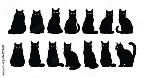 Collection of fourteen black cat silhouettes with white eyes and whiskers on a white background Vector