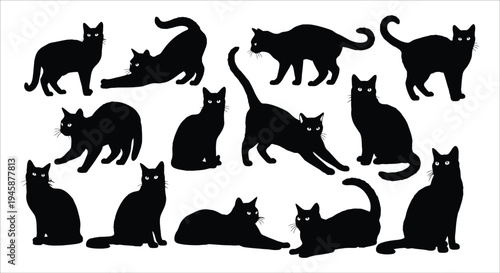 A collection of black cat silhouettes in various poses isolated on a white background. Vector