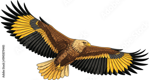 Majestic bald eagle in flight vector illustration, detailed feather artwork, American national bird design, wildlife symbol of strength and freedom